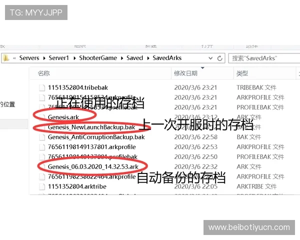 U体育手机版会员登录流程详解及常见问题解决方案推荐